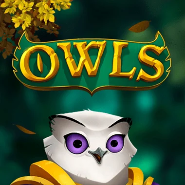 Owls game title